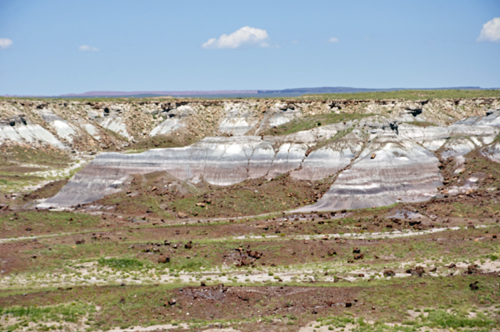 Jasper Forest in the Petrified Forest